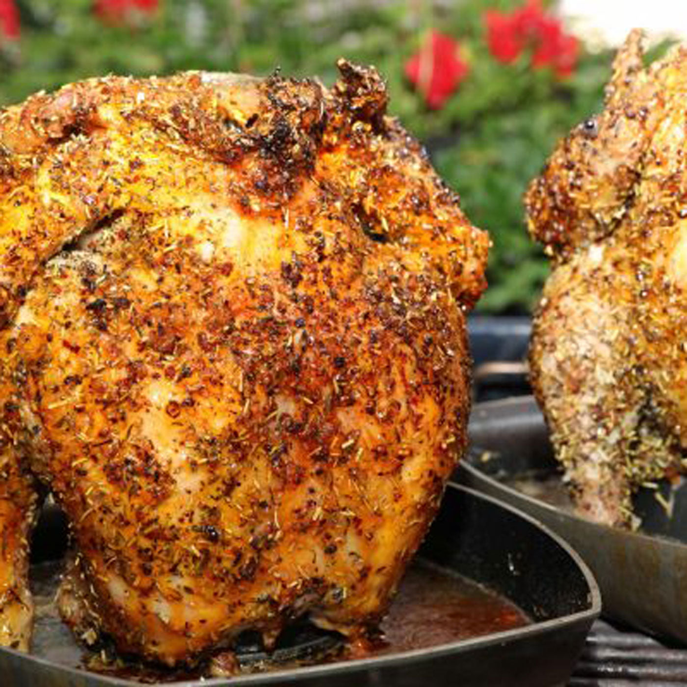 Beer Can Chicken